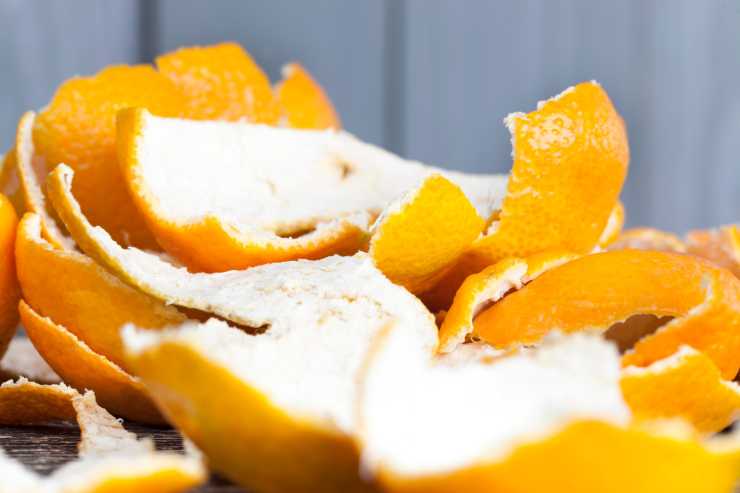 riutilizzare buccia mandarini