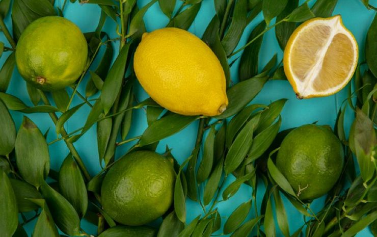Limone fertilizzante naturale