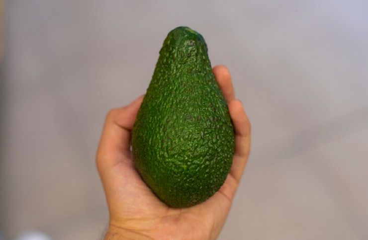Mangiare avocado
