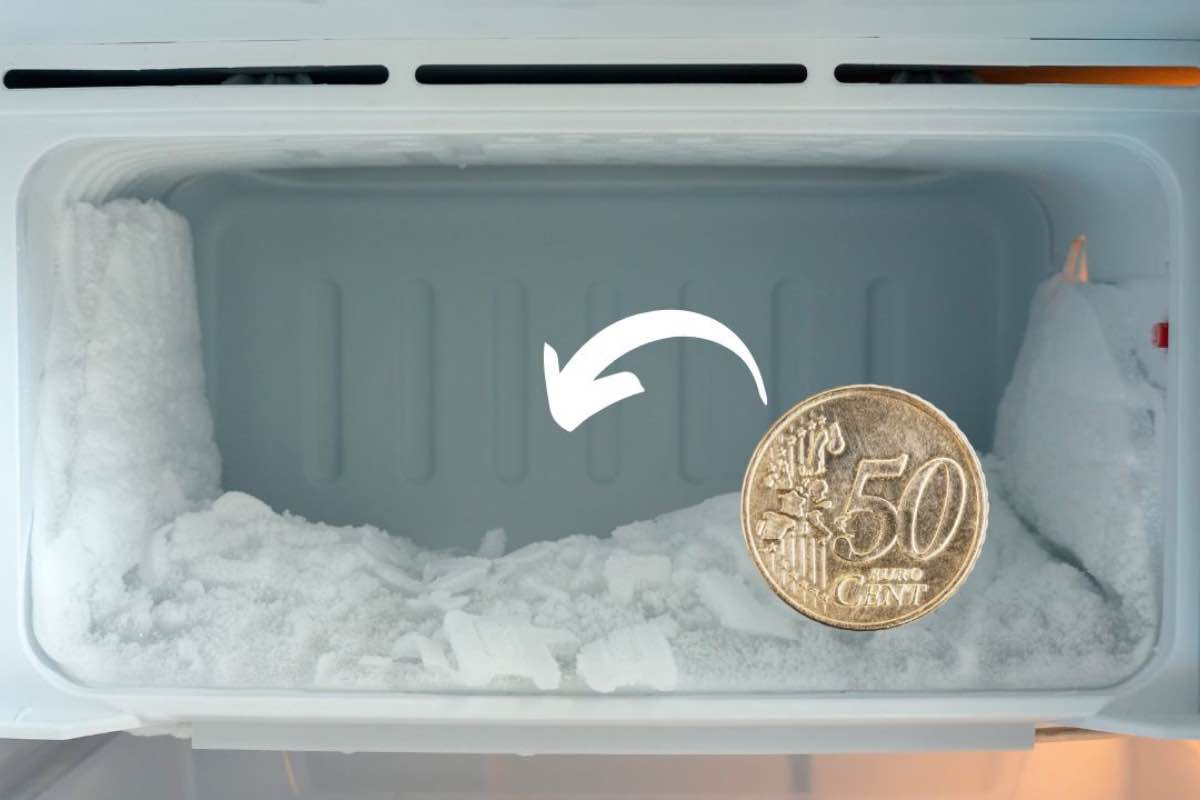 Moneta nel freezer