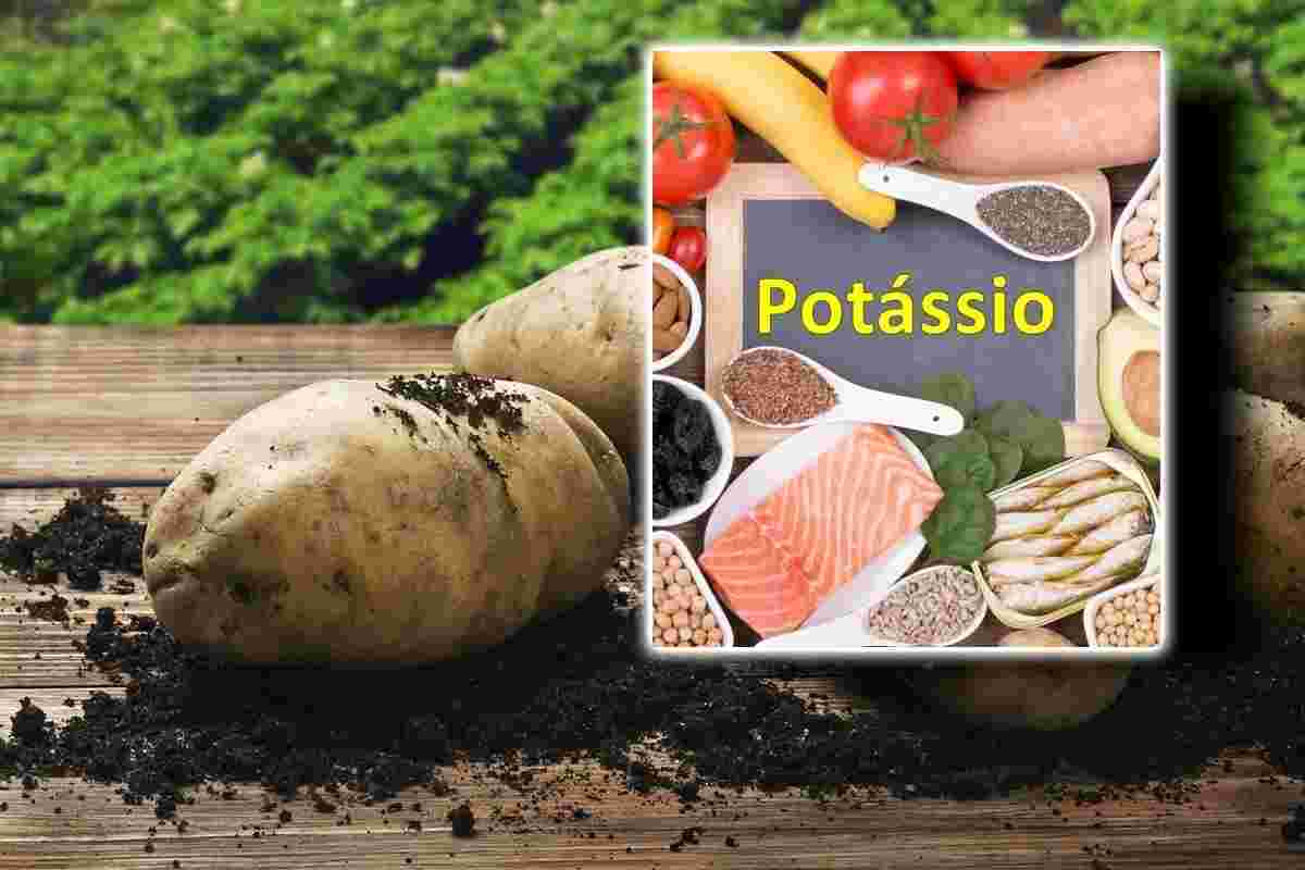 Alimento ricco di potassio